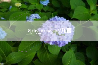 丹阳2022九宫