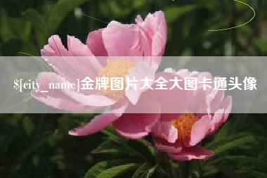 丹阳金牌图片大全大图卡通头像