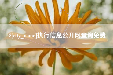 丹阳执行信息公开网查询免费